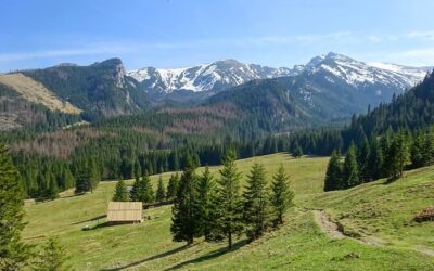 Un lustro después del cambio del turismo cuarta parte