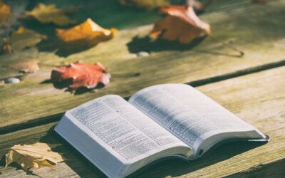 Inolvidable premier en Madrid de la película La Biblia: Apocalipsis