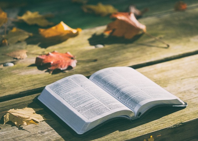Inolvidable premier en Madrid de la película La Biblia: Apocalipsis