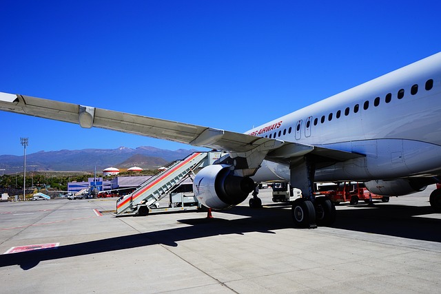 De Paiporta a Tenerife, el Rey de España siempre está donde tiene que estar, mientras el galgo sigue huyendo