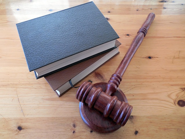 El Censo que se fabrica