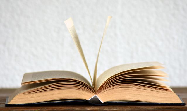 Manual del izquierdista del siglo XXI