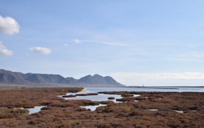 Almería quiere competir de igual a igual con los Ángeles, lanzando para 2027 los premios “Hoscáres”.